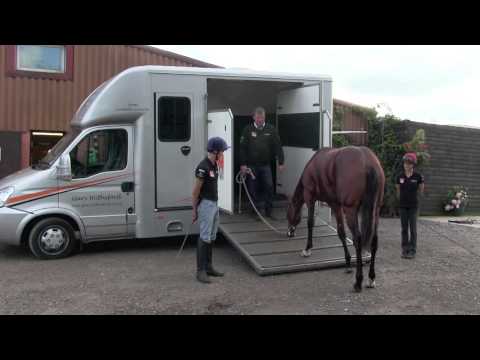 Gary Witheford: teaching a horse to load
