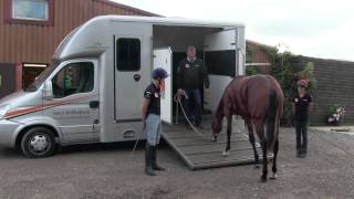 Gary Witheford: teaching a horse to load