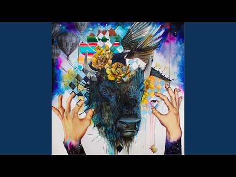 One Night Show - Balto