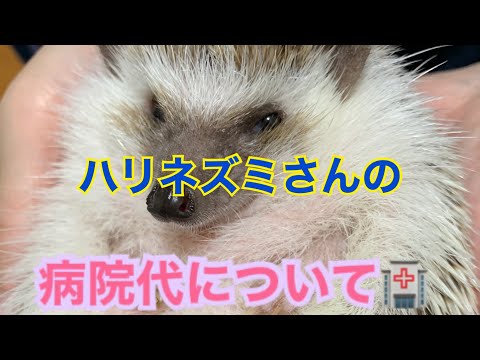 リダイレクトアイコン