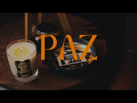 PAZ - Pezão &  Camila Zasoul ( Prod Gu$t )