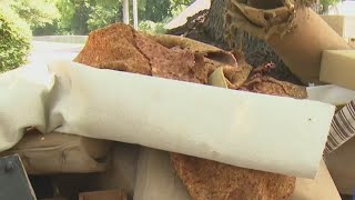 Dallas resumes bulk trash pickup after months of suspension since May windstorm