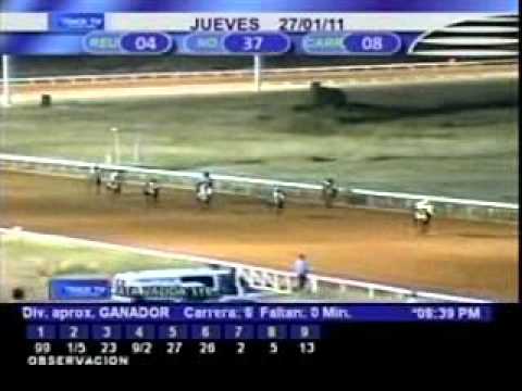 Resumen jueves 27 de enero 2011 - Santa Rita