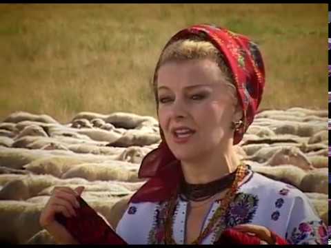 Maria Iliuț - Iernatul oilor