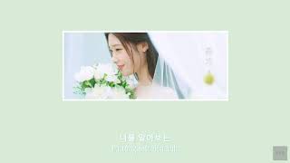 [VIETSUB/HAN lyrics] Serenade 축가 -  JEON WOO SUNG 전우성