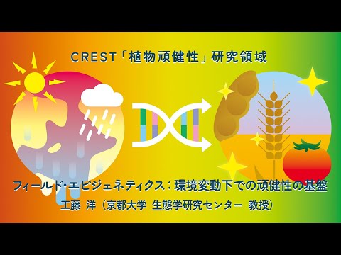 つる性植物の壁サポート: 考慮すべき 10 以上の独創的で創造的なアイデア  庭園
