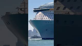 Symphony of the Seas 🛳️ #like #share #comment #subscribe #cruiseship #cruise #vacation #shorts #yt