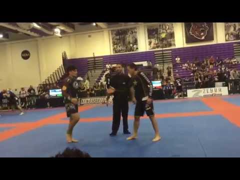 Dillon Danis X Dainis Nguyen