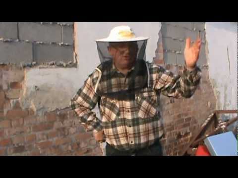 5. Hranirea simultana a celor 3 familii din "Bio Stup - Ioan Ursu" cu o rama sau hranitor 5/5