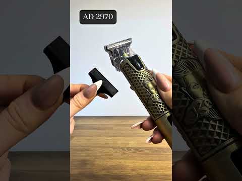 Video 1