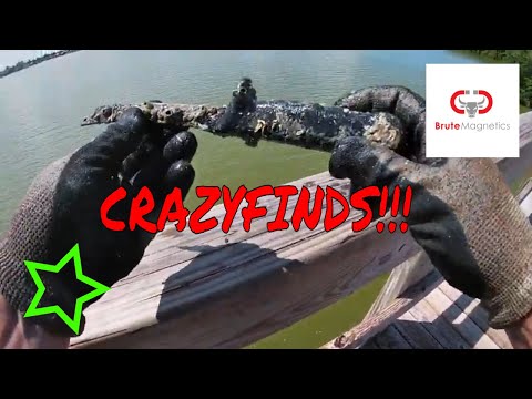 I went magnet fishing at a LOADED little bridge!