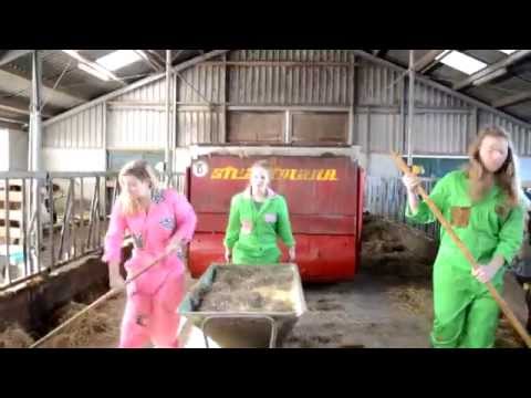 Beautyfarmers overall