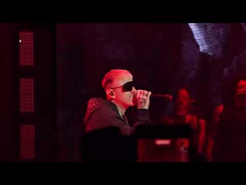 emma - amore cane (feat. lazza) (live @ unipol forum Milano 11-11-24) #indatowntour