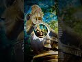 Thannanathinam Thannanathinam Saranam Ayyappa Om Swamiye Saranam Ayyappa WhatsApp Status Video