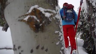 bogus basin 2016 02 14  Sunday Freshies... All Day!