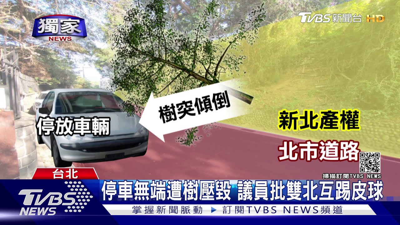 北市境內地新北產權! 民眾車遭樹壓難求償