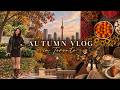 an autumn vlog in toronto, canada 🍁