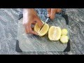 How to Grow a Lemon Tree from Seed 