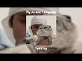 MY ARABIC LANGUAGE | (sped up) - Muhammad al Muqit