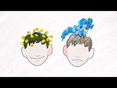 Were you an orchid or a dandelion growing up?