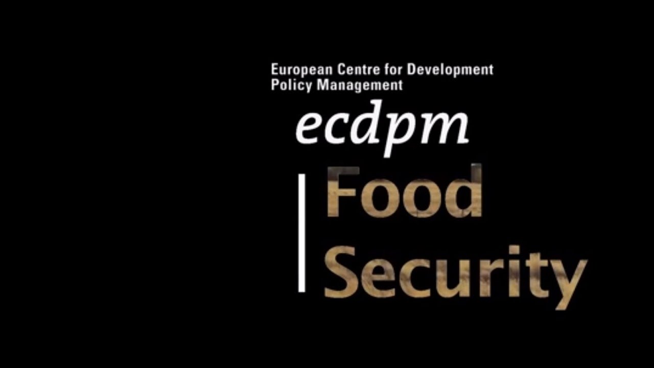 About ECDPM: the Food Security Programme
