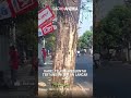Home 17 Video thumbnail