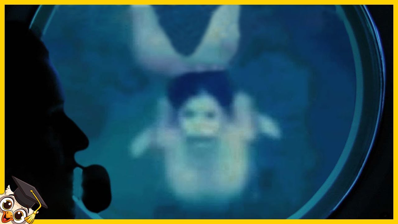 10 Sirènes Capturées En Vidéo dans la vraie vie