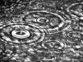 Euphoria - quiet rain