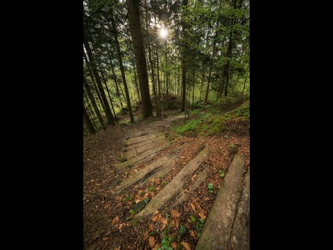 Walk in Truth | Pastor Jano de Klerk | Knysna Vineyard