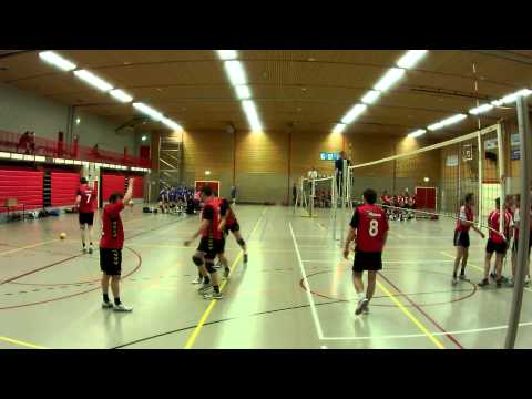 Prota H1 tegen Reflex H6