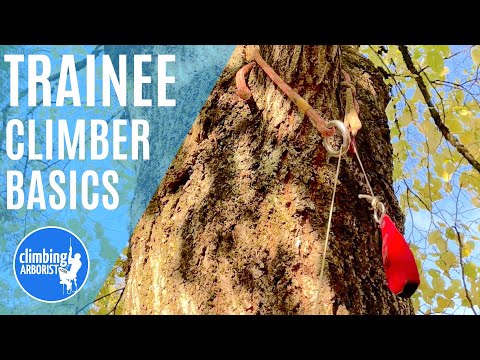 Friction saver and rope install plus retrieval from the ground with trainee climber and BONUS TIPS
