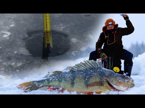 Pilkkireissu marraskuun ensijäille 2025 | 4K | Erämaiden Kulkijat