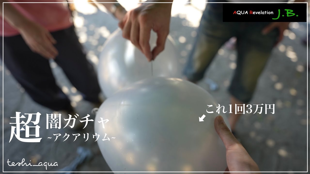 【闇ガチャ】1回3万円のガチャ引いてきました/AQUA Revelation J.B./アクアリウム/aquarium/vlog/#35