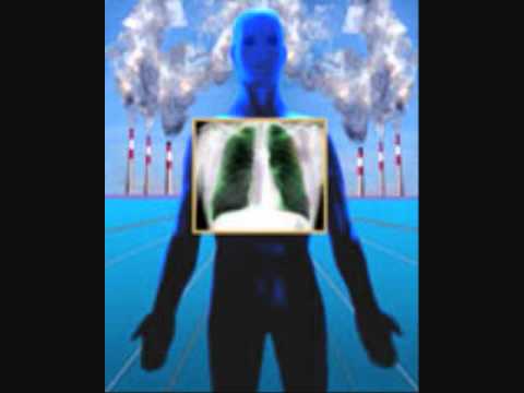 download lagu mp3 mp4 Rodney J Scott, download lagu Rodney J Scott gratis, unduh video klip Rodney J Scott