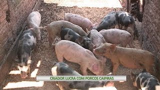 Miniatura do vídeo
