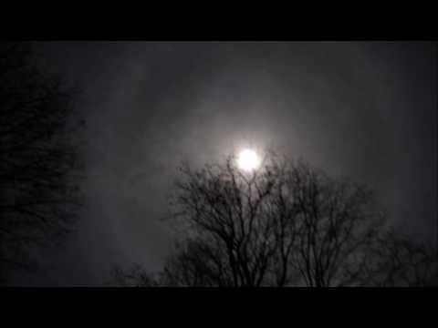 Spagettibrain – The Witness