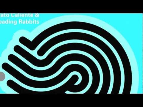 Roger Rabbit - Leading Rabbits