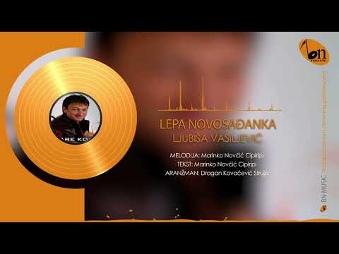 Ljubiša Vasiljević - Lepa Novosađanka [Official Audio 2009]