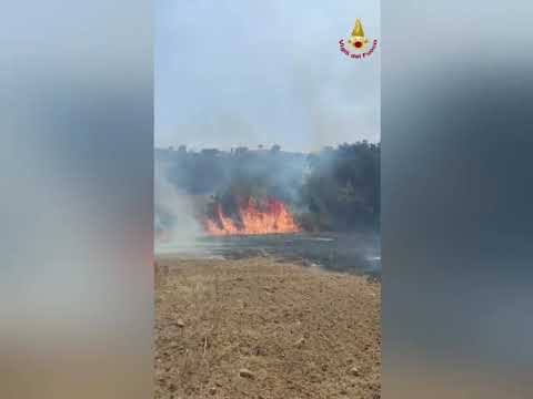 L'incendio a Magliano in Toscana, in Maremma, nelle immagini dei vigili del fuoco