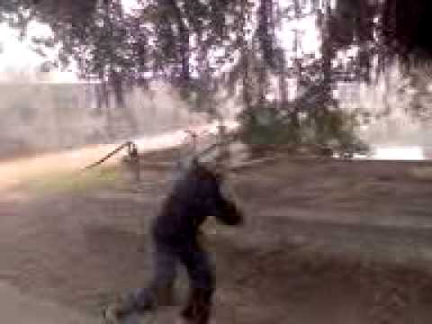 Shakti Shakti Shaktiman.3gp