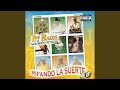 Paloma Sin Nido