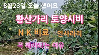 인산가리 NK비료 꼭 해야되는 이유