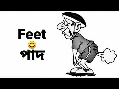 Feet, Background Sound || পাদ শব্দ || Funny Background Sound Effect || Funny Clips 2021
