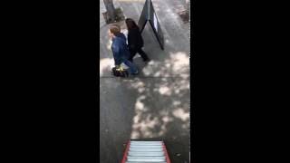 Video from Parque Experimental El Eco.