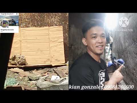 AIRGUN BOLT ACTION AND BSA SCOPE