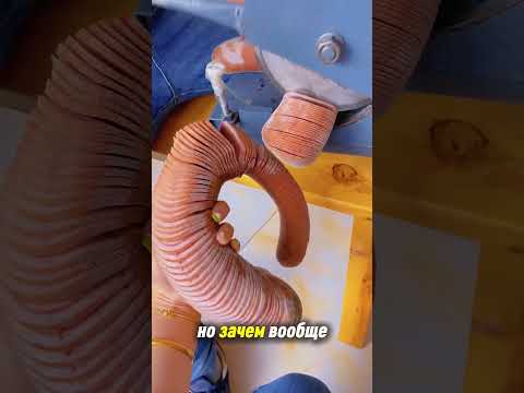 Сырые панты оленя