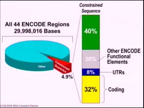 Dr. Elliott Margulies | Statistical challenges in using comparative genomics for the... of......