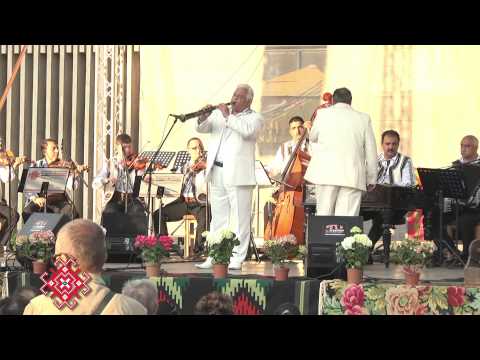 Dorel Sparios - taragot 3