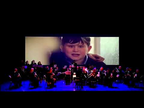 Highlights from Harry Potter - John Williams / Arr. Michael Story