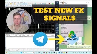 Testing FX Signals with my Telegram Copy utility | Automate to copy signals from telegram to MT4/5